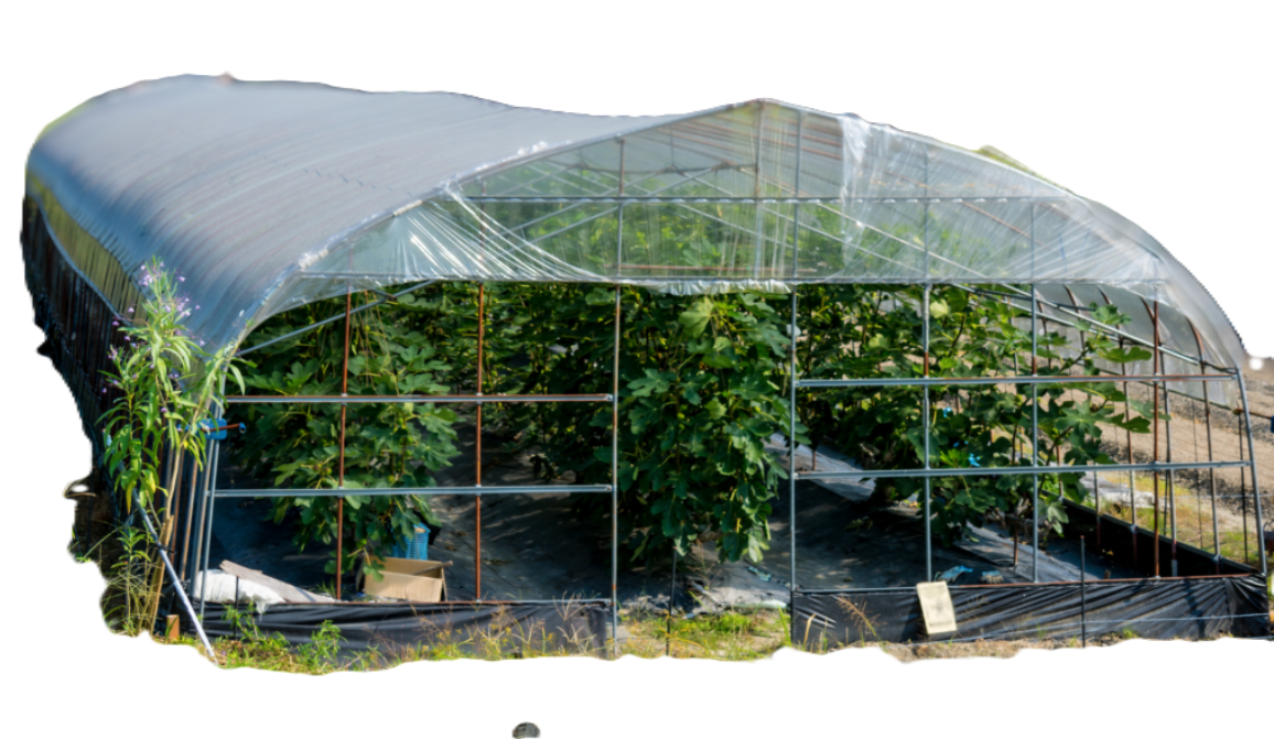 Cubierta plástica para cultivo